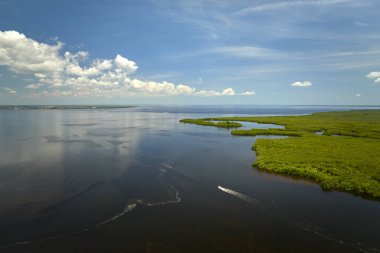 Su koylarında yeşil bitki örtüsü arasında yüzen küçük sürat teknesiyle Florida sulak alanlarının havadan görünüşü. Doğa konseptinde dinlenme.