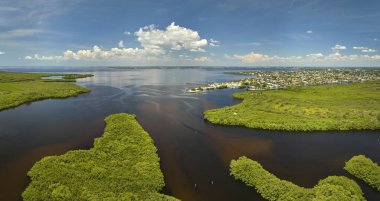 Florida 'nın yukarısından, okyanus suları arasında yeşil bitki örtüsü olan bir yer. Bataklıktaki birçok tropikal türün doğal yaşam alanı.