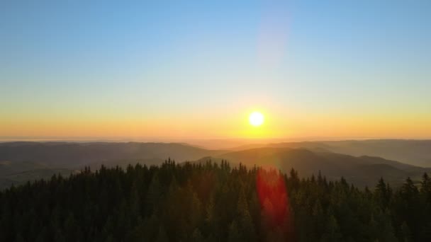 Niesamowity Krajobraz Górski Ciemne Świerkowe Lasy Oświetlone Żółtym Zachodzącym Słońcem — Wideo stockowe