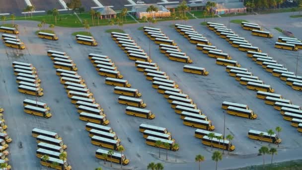 多くの黄色いバスが列に駐車する公共のスクールバスの駐車場 アメリカの教育システム — ストック動画