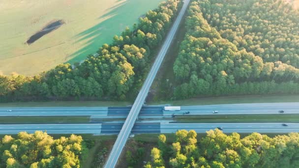 从上面看 繁忙的美国公路上有快速行驶的卡车和汽车 州际运输概念 — 图库视频影像