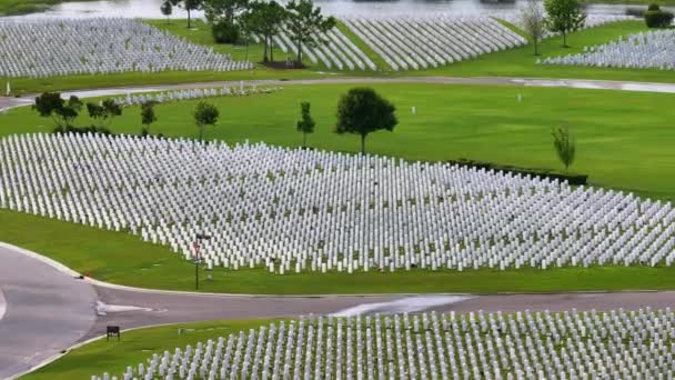 Vedere Aeriană Cimitirului Național Sarasota Rânduri Pietre Funerare Albe Iarbă — Videoclip de stoc