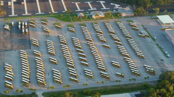许多停放在美国县停车场上的校车的空中景观 美国教育系统的交通 — 图库视频影像