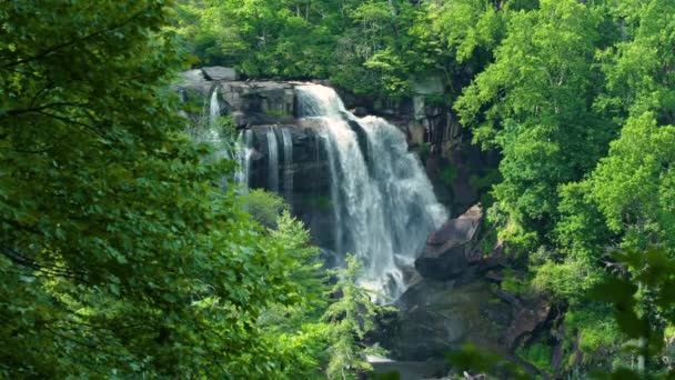 アメリカ合衆国ノースカロライナ州ナンタバラ国立森林にあるホワイトウォーターフォールズの空中観測 緑豊かな森の間に岩盤から落ちる透明な水 — ストック動画