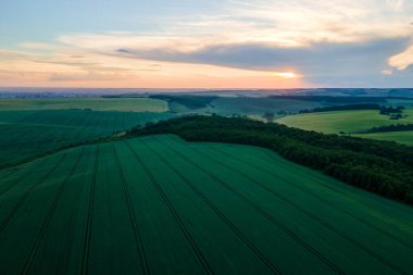 Yaz mevsiminde ekinlerin büyüdüğü yeşil tarlaların havadan görünüşü. Tarım ve tarım endüstrisi.
