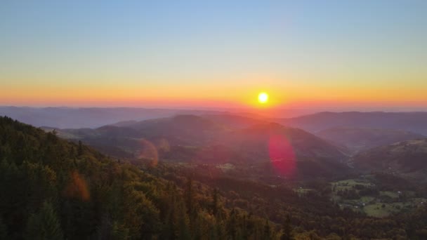 Pădure Pin Întunecată Iluminată Soare Puternic Vedere Aeriană Apusului Colorat — Videoclip de stoc
