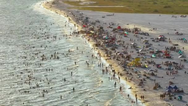 米国サラソータ州の柔らかい白い砂と有名なシエスタキービーチ 暖かい湾の水で入浴し 日没時に暑いフロリダの太陽の下で日焼けを楽しんでいる多くの人々 — ストック動画