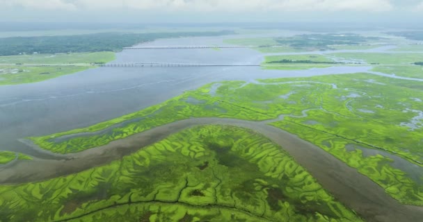 Luchtfoto Van Georgië Wetlands Met Groene Vegetatie Tussen Waterinlaten Waterwegen — Stockvideo
