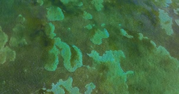 Вид Воздуха Поверхность Океана Подводный Коралловый Риф Возле Майами Флорида — стоковое видео