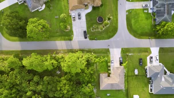 フロリダの緑のヤシの木の間の民家と小さな町アメリカ郊外の風景の空中ビュー静かな住宅地 — ストック動画