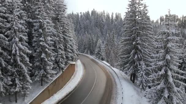 雪に覆われた山の森と曲がりくねった森の滑りやすい道路と冬の風景の空中ビュー — ストック動画