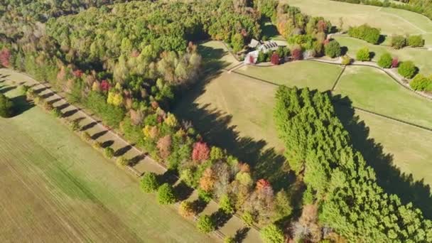 Großes Teures Bauernhaus Umgeben Von Feldern Und Dichten Wäldern Ländlichen — Stockvideo