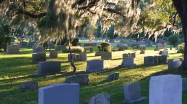 Orlando, Florida 'da yeşil çimlerin üzerinde meşe ağaçlarının altında mezar taşları olan eski bir mezarlık. Ölüm kavramı.
