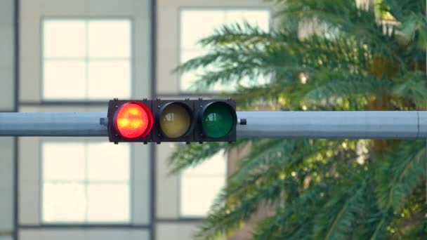 Światła Drogowe Czerwonego Zielone Regulujące Kierowanie Samochodami Ulicy Miami Florydzie — Wideo stockowe