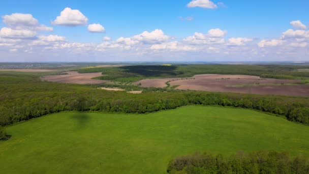Vista Aérea Campos Agrícolas Verdes Temporada Verão Com Culturas Crescimento — Vídeo de Stock