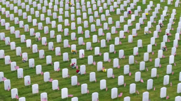 Concepto Memorial Day Vista Aérea Del Gran Cementerio Nacional Sarasota — Vídeos de Stock