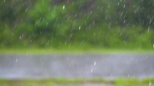 ぼやけた背景に降下する雨の降下の閉鎖 雨季の雨天について — ストック動画
