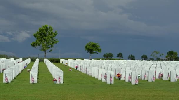 Sarasota Cementerio Nacional Con Muchas Lápidas Blancas Césped Hierba Verde — Vídeos de Stock
