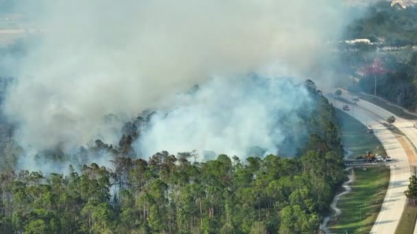 Vista Aérea Camiones Bomberos Del Departamento Bomberos Extinguiendo Incendios Forestales — Vídeos de Stock
