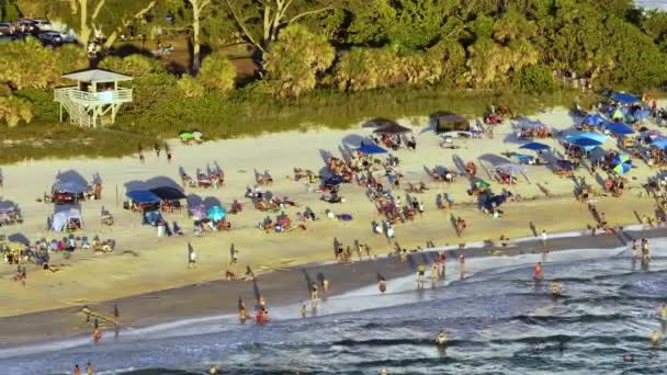 フロリダ アメリカの観光客でいっぱいのヴェネツィアのノカムビーチの空中ビュー 海水で泳ぐ休暇を楽しみ 暖かい日差しでリラックスする多くの人々 — ストック動画