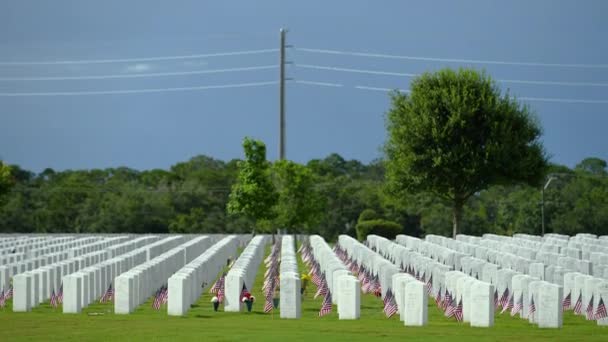 American National Military Cemetery Rows White Tomb Stones Green Grass — Stock Video