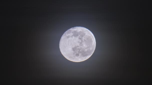 Яскравий Повний Місяць Швидкими Темними Хмарами Нічному Небі Ефект Розмитого — стокове відео
