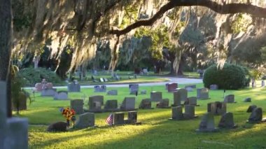 Gün batımında birçok mezar taşı olan bir mezarlık. Orlando, Florida 'daki yeşil çimlerin üzerindeki Güney meşe ağaçlarının altında bir mezar yeri..