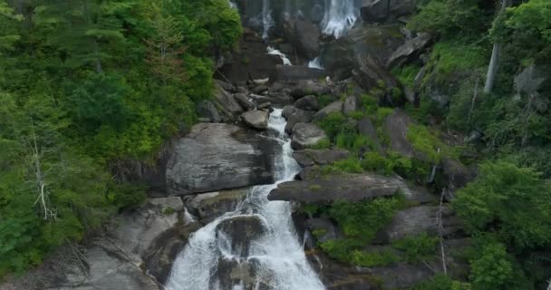 Водопад Уайтуотер Падением Чистой Воды Скальных Валунов Между Зелеными Пышными — стоковое видео