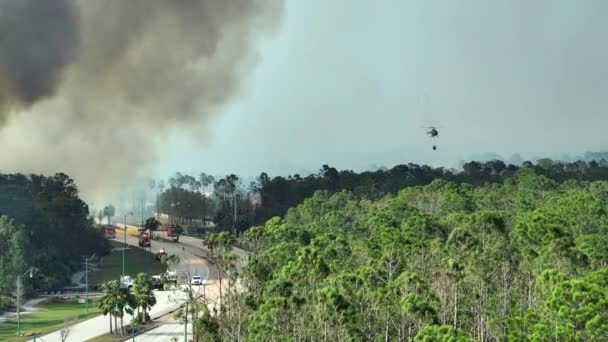 フロリダのジャングルの森で野火を消火する緊急サービスヘリコプターと消防車 警察のヘリが炎を森に落とそうとしてる 有毒煙大気汚染 — ストック動画