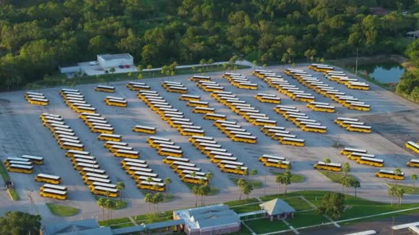 Okul Otobüsleri Amerika Yaz Tatilleri Sırasında Bölge Otoparkına Park Ettiler — Stok video