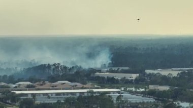 Kuzey Liman şehri Florida 'da yangın söndüren itfaiye helikopterinin hava görüntüsü. Orman ormanında alevleri söndürmeye çalışan acil servis helikopteri..
