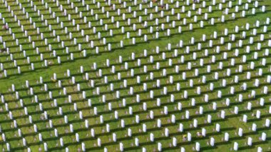 Büyük Amerikan askeri mezarlığı. Yeşil çimlerin üzerinde beyaz mezar taşları var. Anma Günü konsepti.