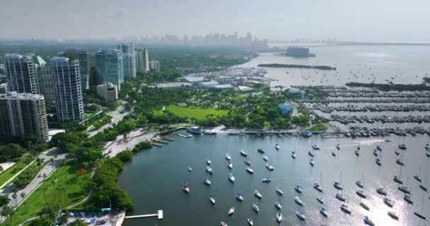Майами Город Коконут Гроув Престижный Район Флориде Сша Парусными Лодками — стоковое видео
