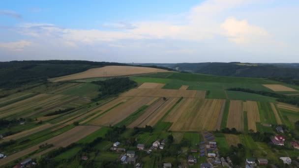 Flyglandskap Grön Jordbruksmark Sommarsäsongen Med Växande Grödor Jordbruksodlad Åker Jordbruks — Stockvideo