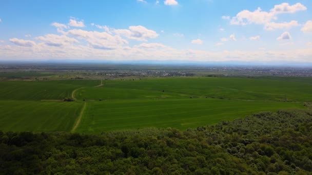 Yaz Mevsiminde Ekinlerin Büyüdüğü Yeşil Tarlaların Havadan Görünüşü Tarım Tarım — Stok video