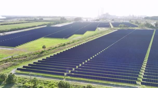 Centrale Électrique Avec Rangées Panneaux Solaires Photovoltaïques Pour Produire Énergie — Video