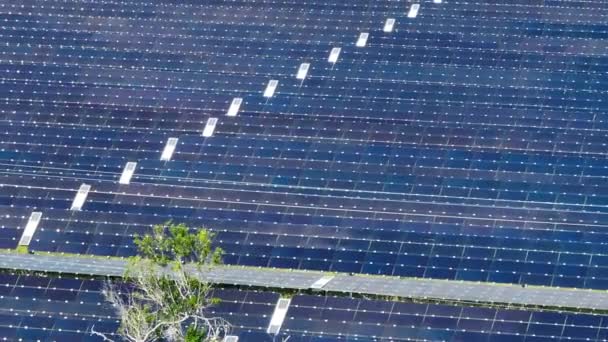 Udržitelná Elektrárna Řadami Solárních Fotovoltaických Panelů Pro Výrobu Čisté Elektrické — Stock video
