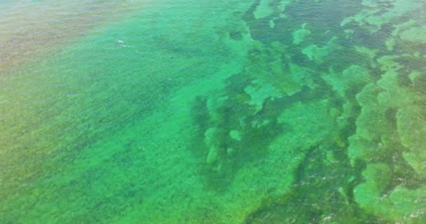 Widok Powietrza Podwodną Rafę Koralową Widoczną Przez Powierzchnię Oceanu Pobliżu — Wideo stockowe