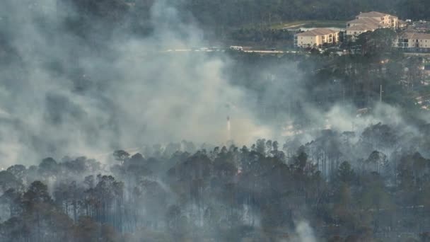 Pohotovostní Helikoptéra Hasí Požár Lesích Floridě Policejní Vrtulník Snaží Uhasit — Stock video