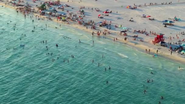 Вид Переполненный Пляж Фаста Сарасоте Сша Многие Наслаждаются Отпуском Купаясь — стоковое видео