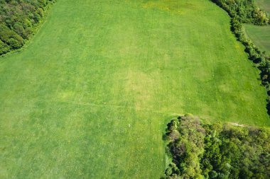 Yaz mevsiminde ekin yetiştiren yeşil tarla. Tarım ve tarım endüstrisi.