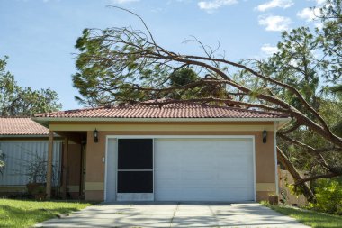 Florida 'da bir evin çatısında kasırga hasarı var. Tropik fırtına rüzgarlarından sonra büyük bir ağaçtan düştü. Doğal afetin sonuçları..