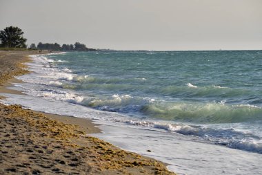 Kıyıya vuran köpüklü dalgalarla sahil kıyısı..