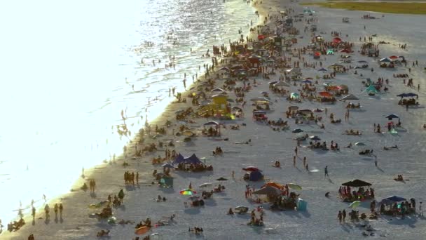 Plajă Cheie Nisip Alb Moale Sarasota Sua Mulți Oameni Bucură — Videoclip de stoc