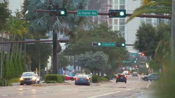 Lampu Lalu Lintas Mengatur Mobil Mengemudi Jalan Kota Tampa Florida — Stok Video