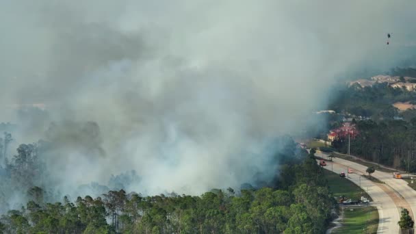 消防ヘリコプターや消防車の空中ビューは フロリダのジャングルの森の中で深刻な燃焼山火事を消火します 救急ヘリと消防士が森の中で炎を落とそうと — ストック動画