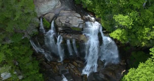 Amazing Summer Landscape Forest River Waters Falling Big Waterfall Clear — Stock Video