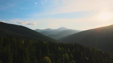 Karanlık dağ tepeleriyle dolu, sonbahar gündoğumunda çam ağaçlarıyla kaplı muhteşem manzara. Şafak vakti güzel vahşi ormanlık.