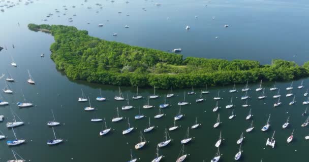 Aerial View Sailboats Yachts Dinner Key Marina Coconut Grove Upscale — Stock Video