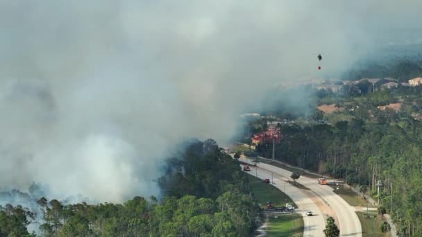 Helicóptero Servicio Emergencia Camiones Bomberos Extinguiendo Incendios Forestales Selva Florida — Vídeo de stock